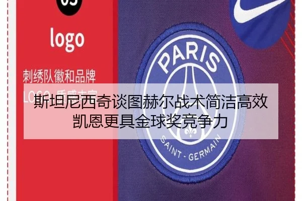 斯坦尼西奇谈图赫尔战术简洁高效 凯恩更具金球奖竞争力